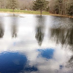 Meet your Posher, Raynie